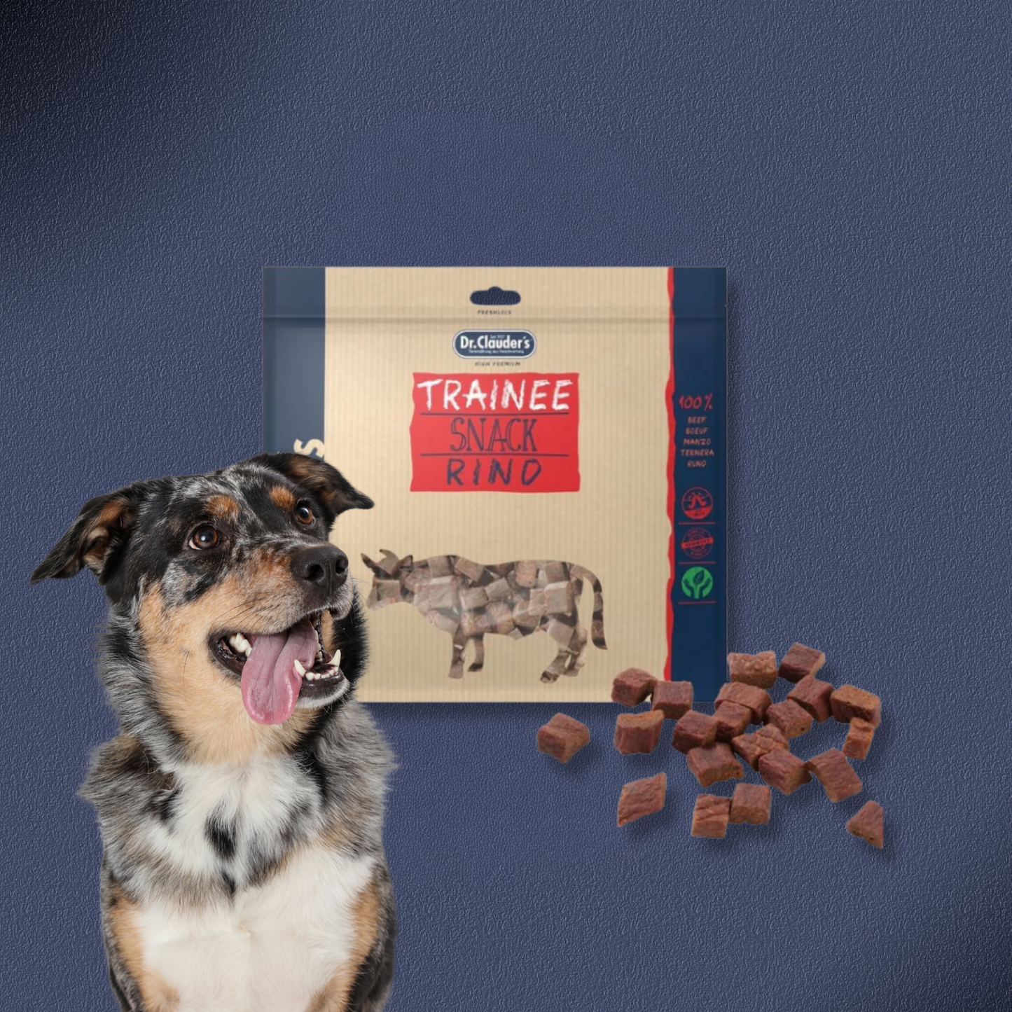 15x500g Dr.Clauder's Trainee Snack - Rinderfleisch