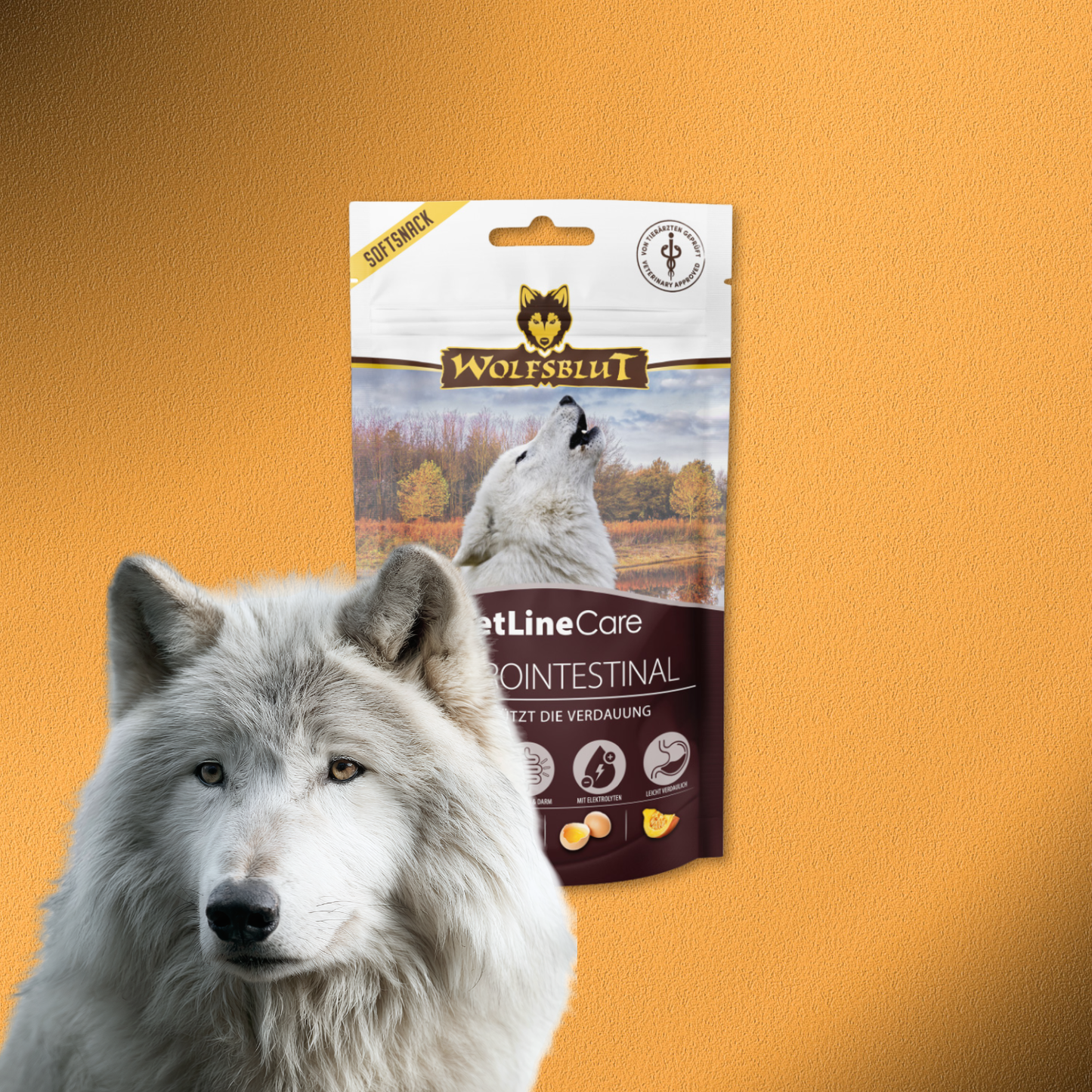 8x100g Wolfsblut VetLine Care Gastrointestinal