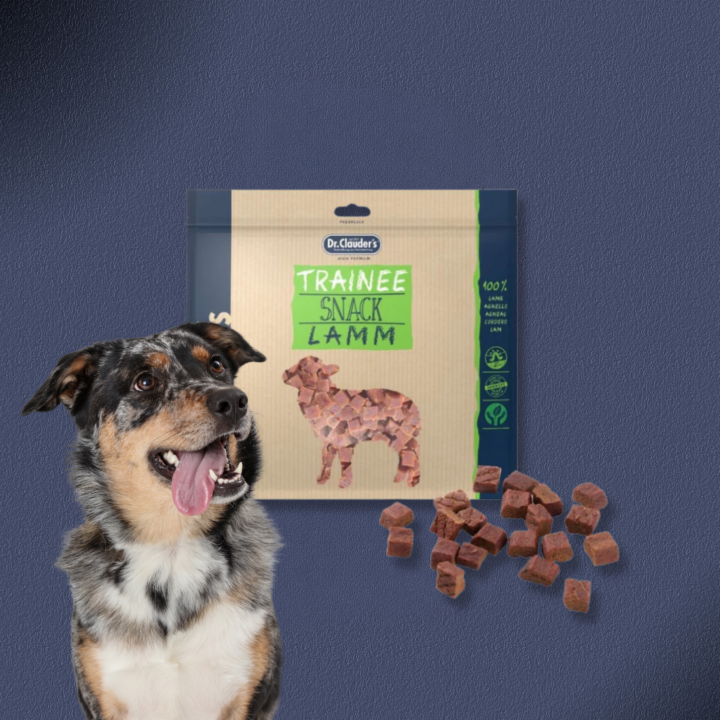 15x500g Dr.Clauder's Trainee Snack - Lammfleisch