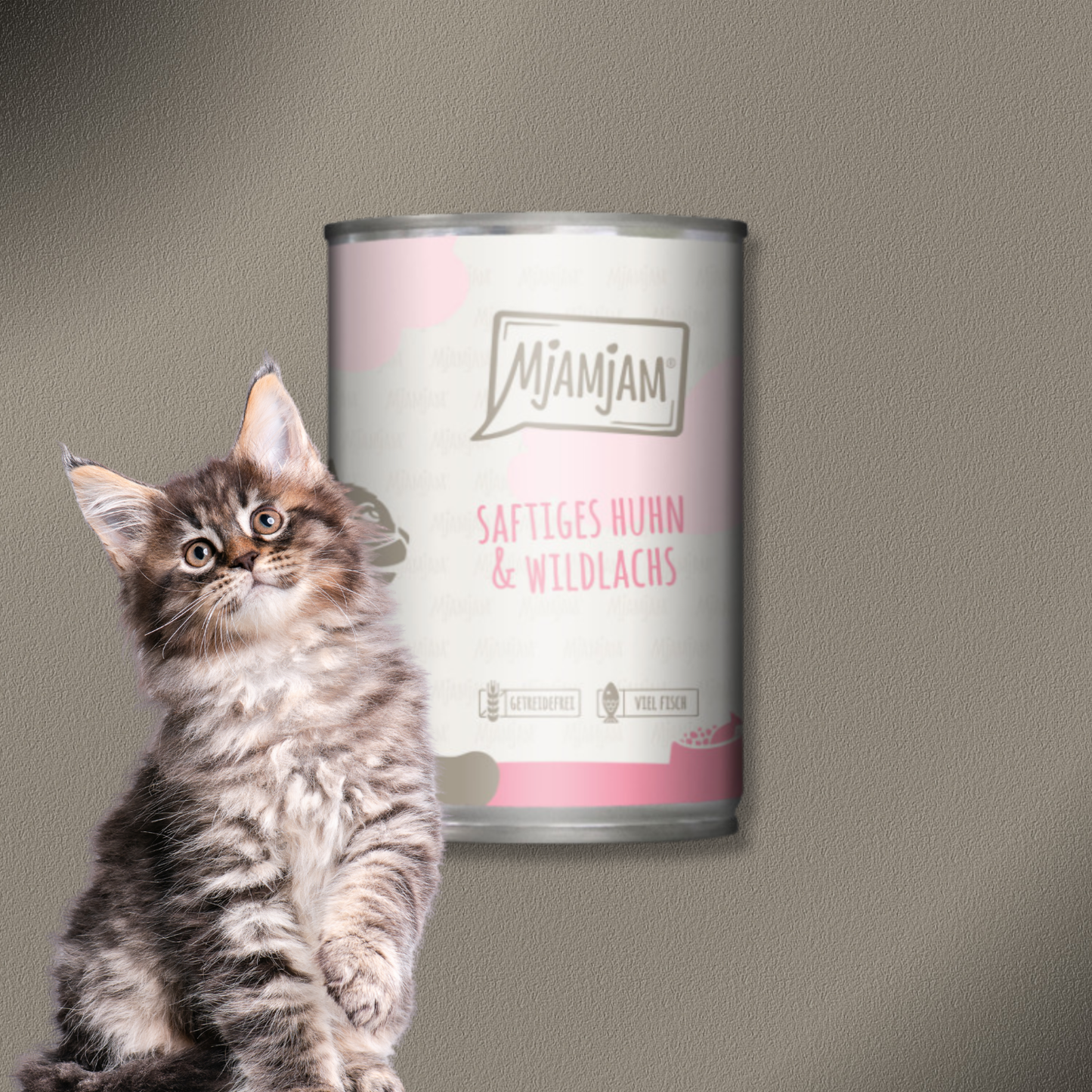 30x400g MjAMjAM  Cat - saftiges Huhn und Wildlachs