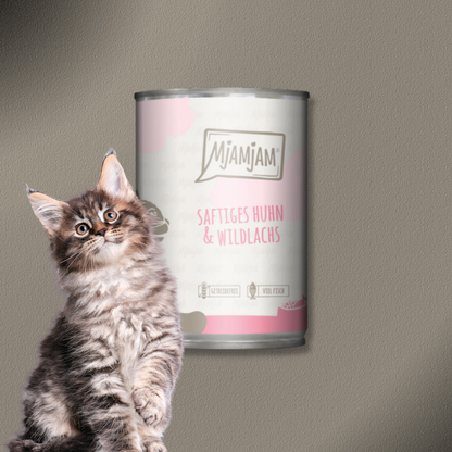 30x400g MjAMjAM  Cat - saftiges Huhn und Wildlachs
