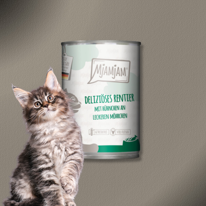 30x400g MjAMjAM Cat - deliziöses Rentier mit Hühnchen an leckeren Möhrchen