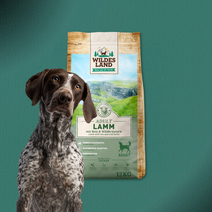 2x12kg Wildes Land Adult Lamm mit Reis und Wildkräutern