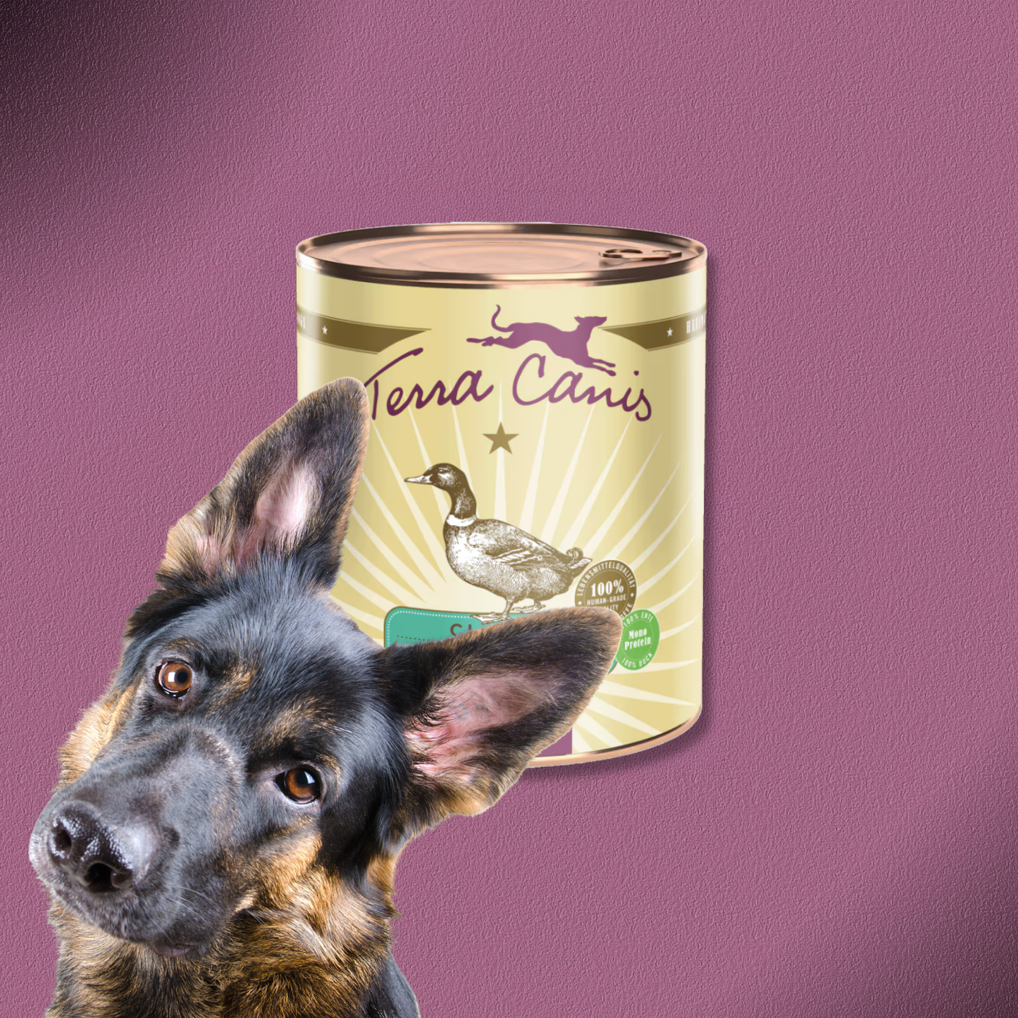 6x800g Terra Canis Classic - Ente mit Naturreis, Roter Bete, Birne und Sesam