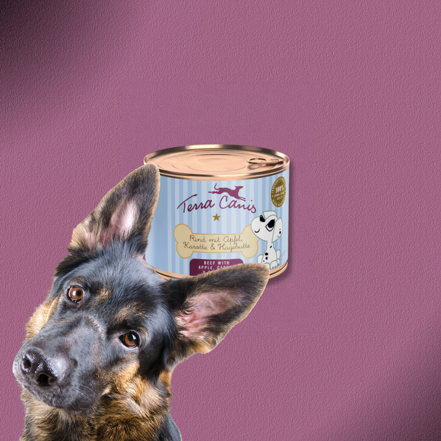 6x200g Terra Canis Welpe - Rind mit Apfel, Karotte und Hagebutte