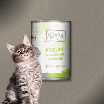 24x400g MjAMjAM Cat leckeres Rind an gedämpftem Kürbis