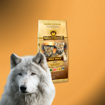 3x2kg Wolfsblut Puppy Wild Duck