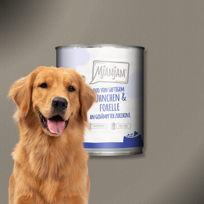 6x800g MjAMjAM Dog - Leckere Mahlzeiten - DUO saftigem Huhn & Forelle an gedämpfter Zucchini