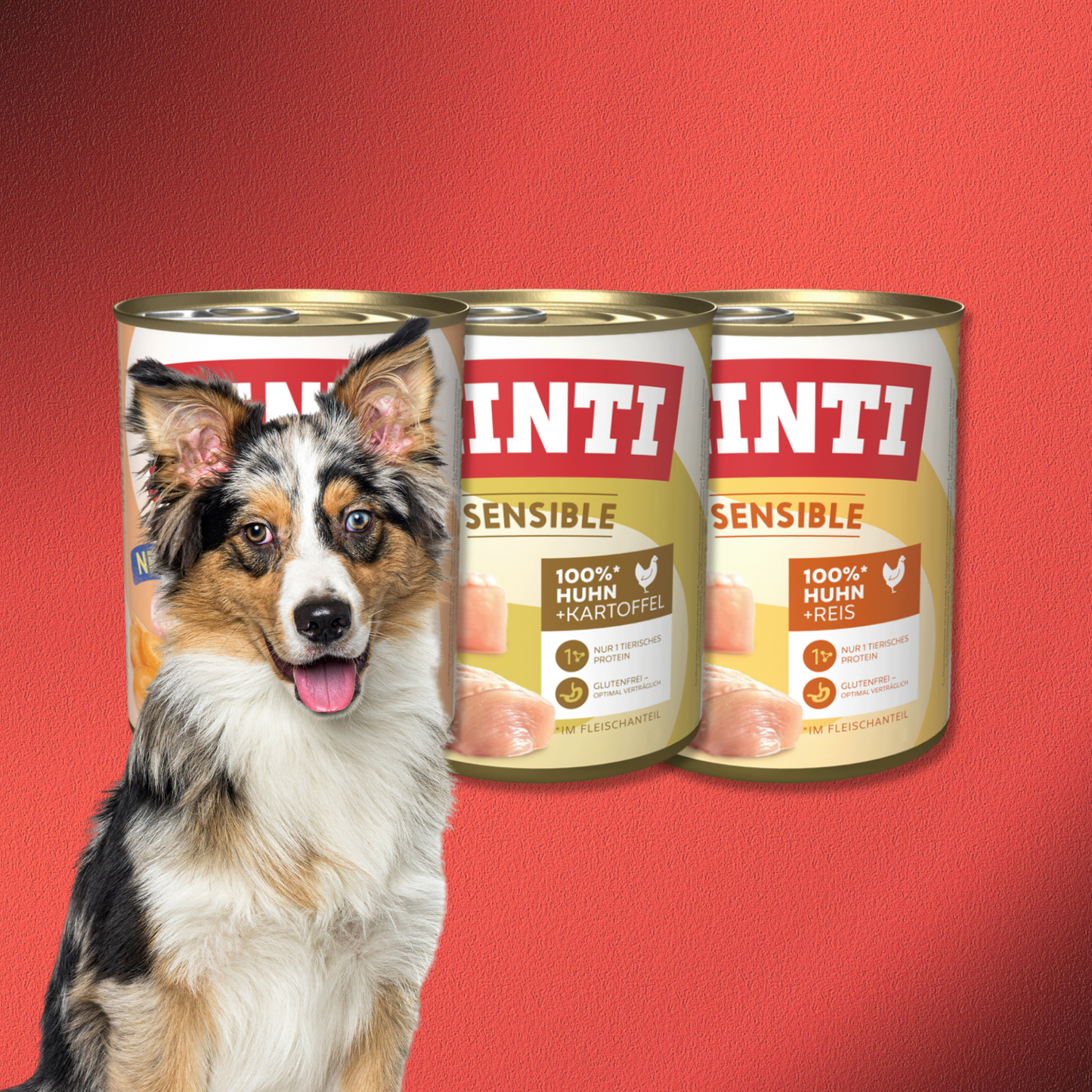 36x800g Rinti Sensible Mix-Paket 1