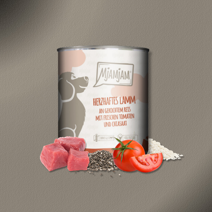 6x800g MjAMjAM Dog -  Leckere Mahlzeiten - Herzhaftes Lamm an gekochtem Reis mit frischen Tomaten