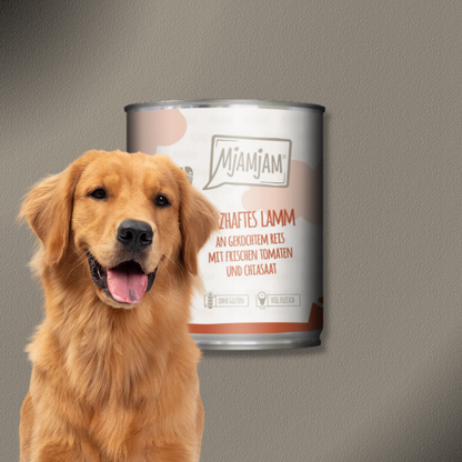 6x800g MjAMjAM Dog -  Leckere Mahlzeiten - Herzhaftes Lamm an gekochtem Reis mit frischen Tomaten