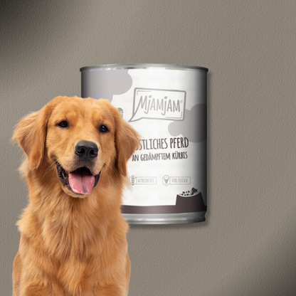 6x800g MjAMjAM Dog - Leckere Mahlzeiten - Köstliches Pferd an gedämpften Kürbis