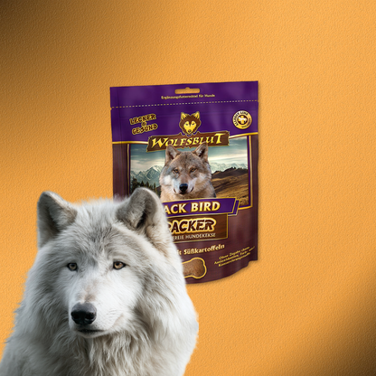 6x225g Wolfsblut Cracker Black Bird