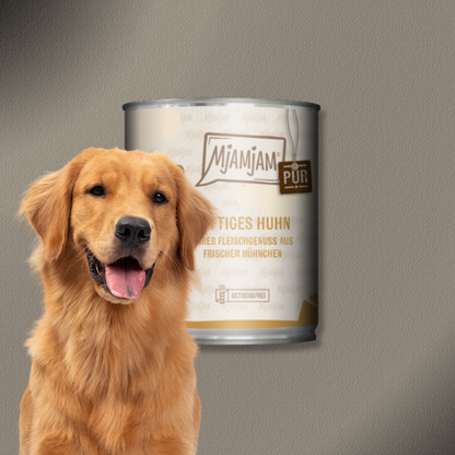 6x800g MjAMjAM Dog - Purer Fleischgenuss - saftiges Huhn pur