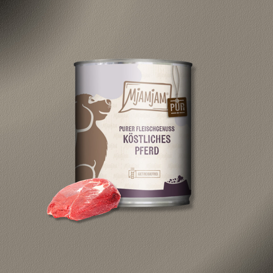 6x800g MjAMjAM Dog - Purer Fleischgenuss - köstliches Pferd pur