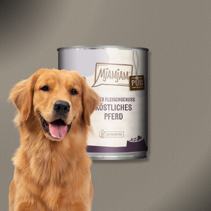 6x800g MjAMjAM Dog - Purer Fleischgenuss - köstliches Pferd pur