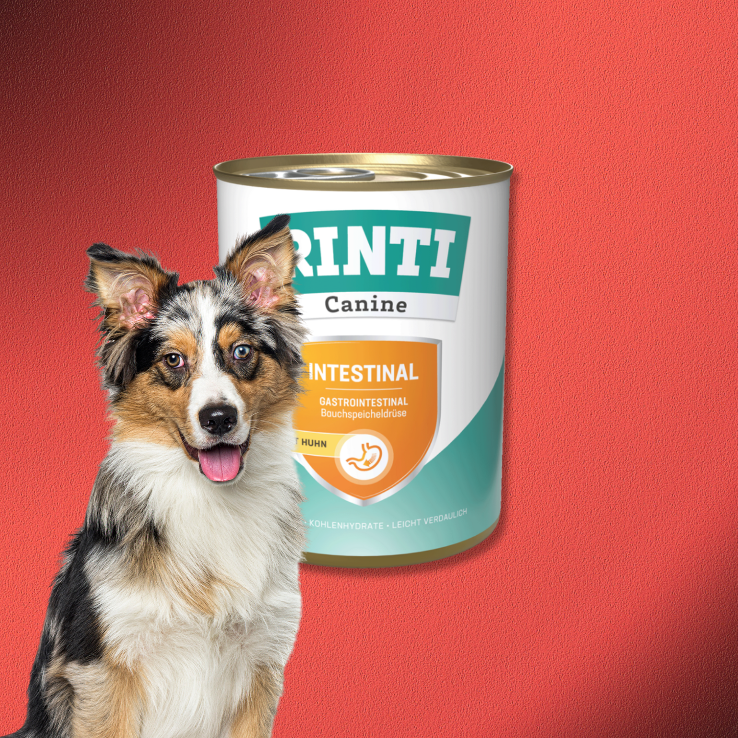 30x800g Rinti Canine Intestinal mit Huhn