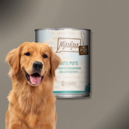 6x800g MjAMjAM Dog - Purer Fleischgenuss - gute Pute pur