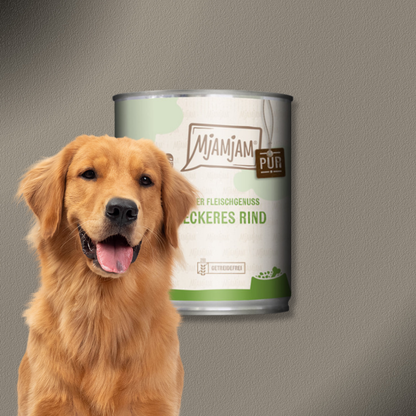 6x800g MjAMjAM Dog - Purer Fleischgenuss - leckeres Rind pur