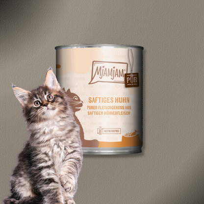 24x800g MjAMjAM Saftiges Huhn pur