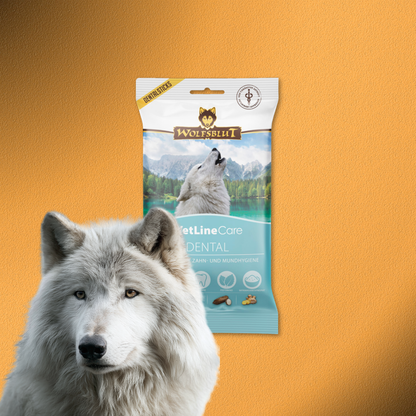 8x180g Wolfsblut VetLine Care Dental