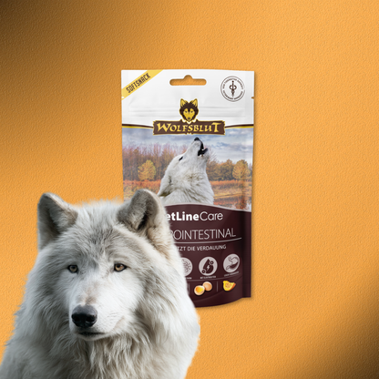 8x100g  Wolfsblut VetLine Care Gastrointestinal