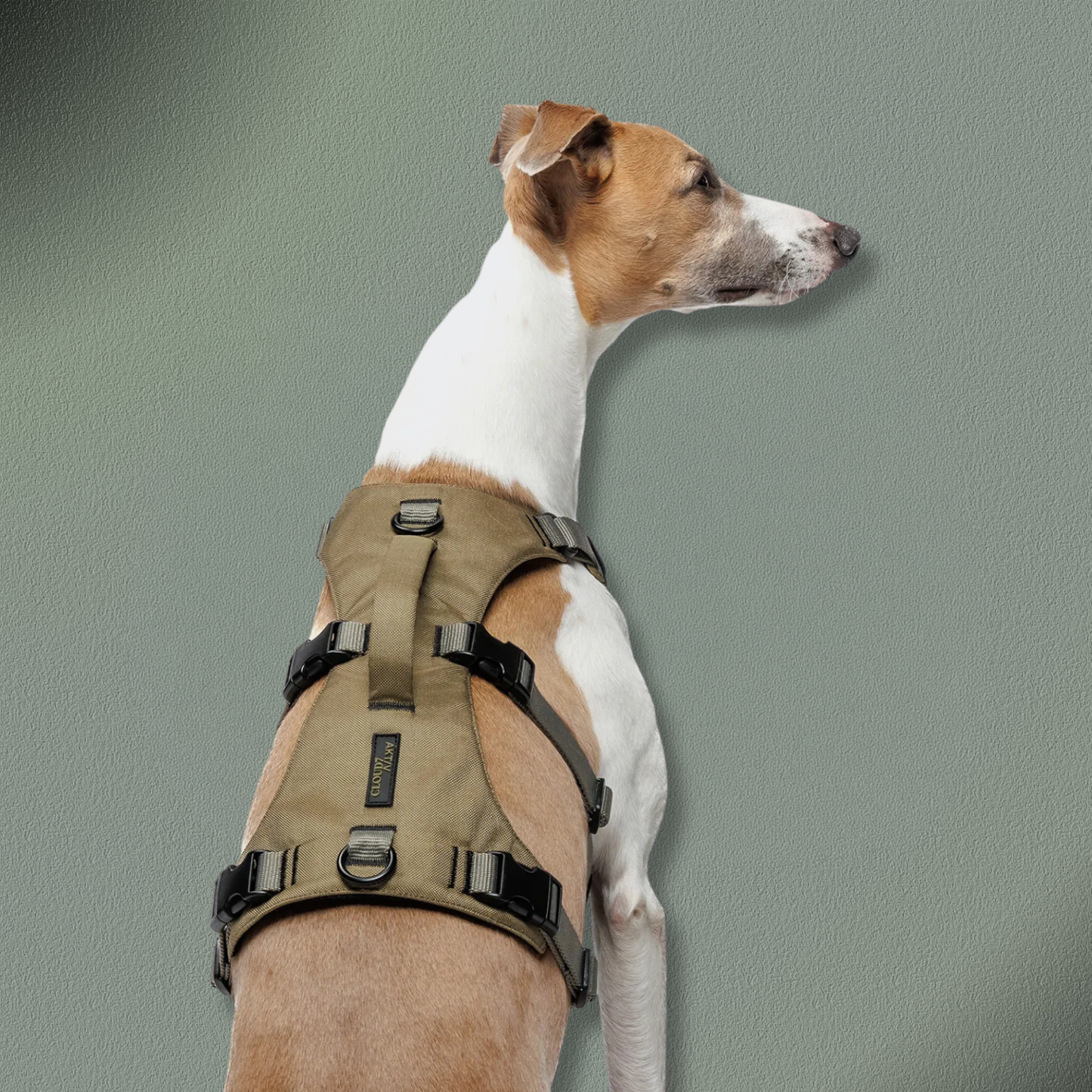 Cloud7 Y Sicherheitsgeschirr AKTIV Khaki/Grey
