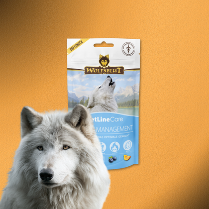 8x100g Wolfsblut VetLine Care Weight Management