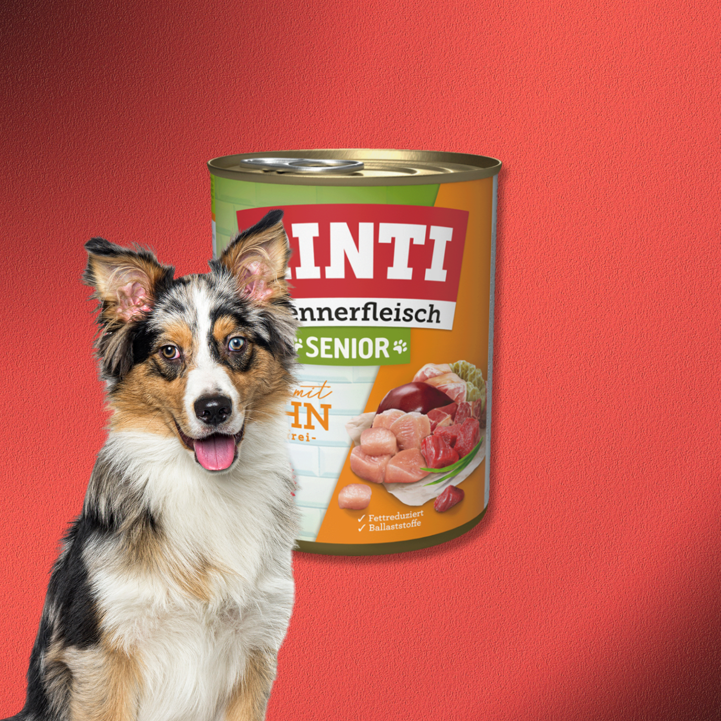 30x800g Rinti Kennerfleisch - Senior Huhn