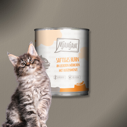 6x800g MjAMjAM Cat - saftiges Huhn an leckeren Möhrchen mit Katzenminze