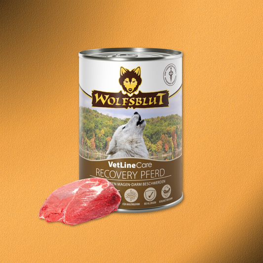 6x395g Wolfsblut VetLine Care Recovery Pferd