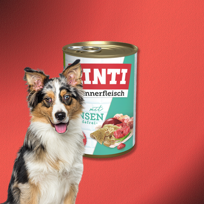 30x400g Rinti Kennerfleisch Pansen - getreidefrei
