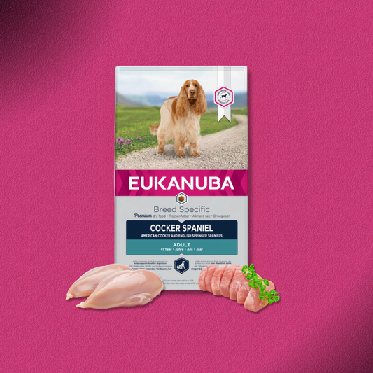 2x7,5kg Eukanuba Adult Breed Specific Cocker Spaniel