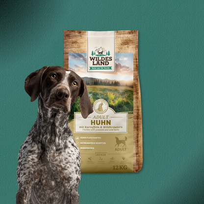 12kg Wildes Land Classic Adult - Huhn mit Kartoffeln und Wildkräutern