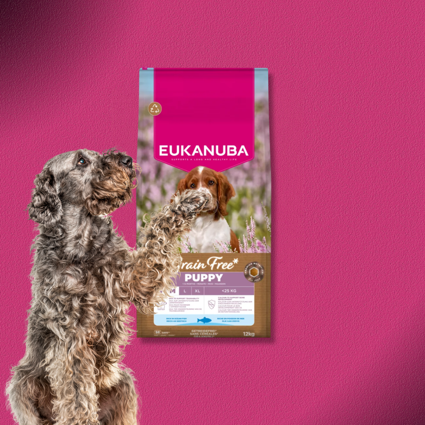 2x12kg Eukanuba Grain Free Puppy Small & Medium Breed Seefisch