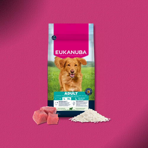 2x12kg Eukanuba Premium Nutrition Adult Large & Giant Breed Lamm & Reis