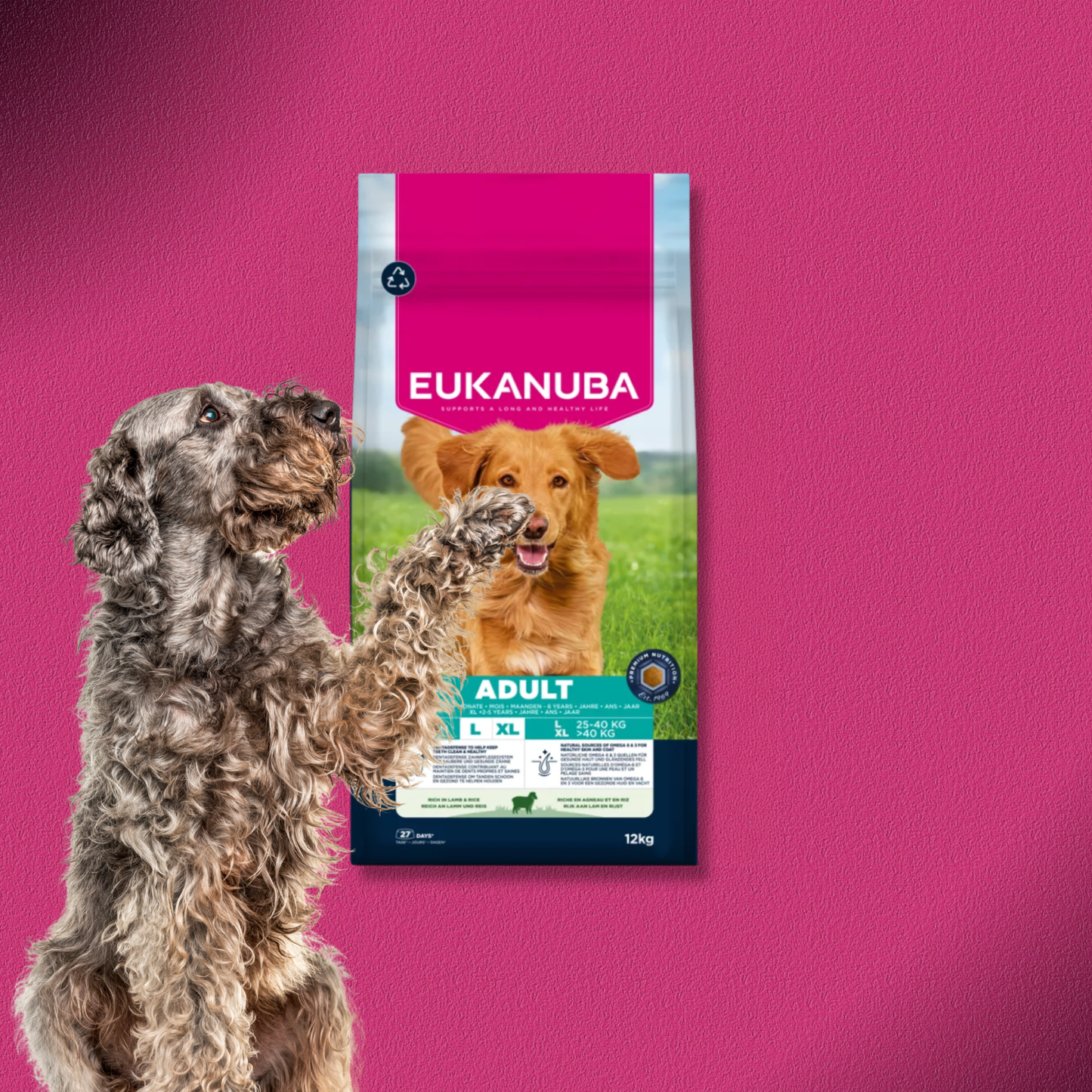 2x12kg Eukanuba Premium Nutrition Adult Large & Giant Breed Lamm & Reis