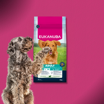 2x12kg Eukanuba Premium Nutrition Adult Large & Giant Breed Lamm & Reis