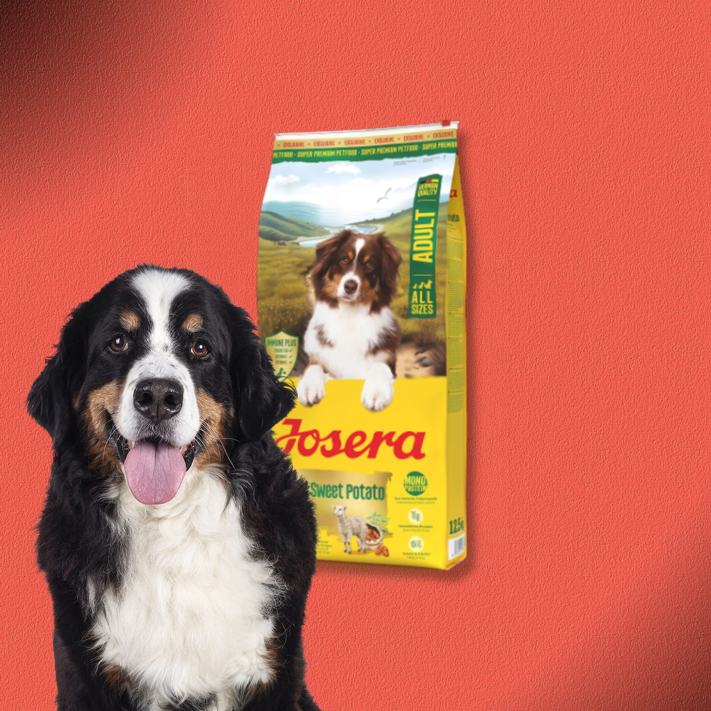 2x12,5kg Josera Adult Lamb & Sweet Potato