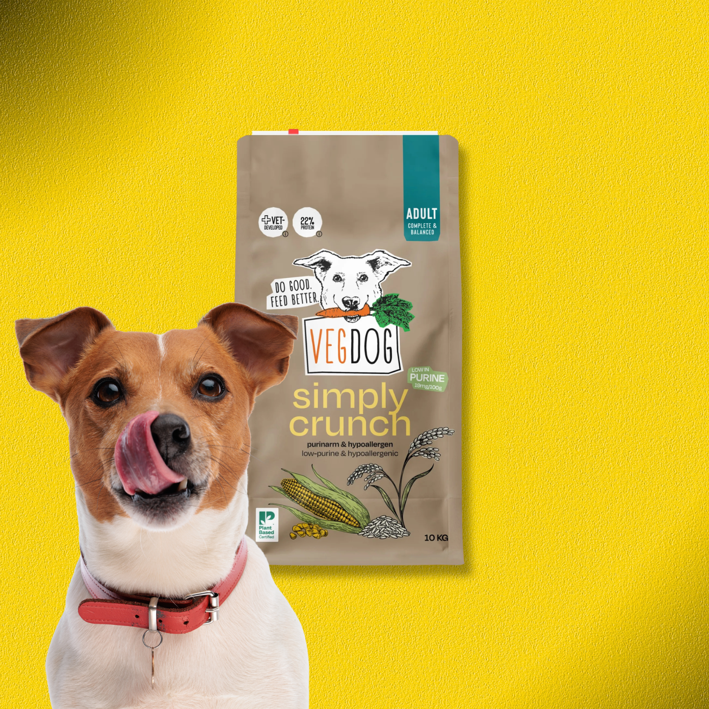 2x10kg Vegdog Simply Crunch