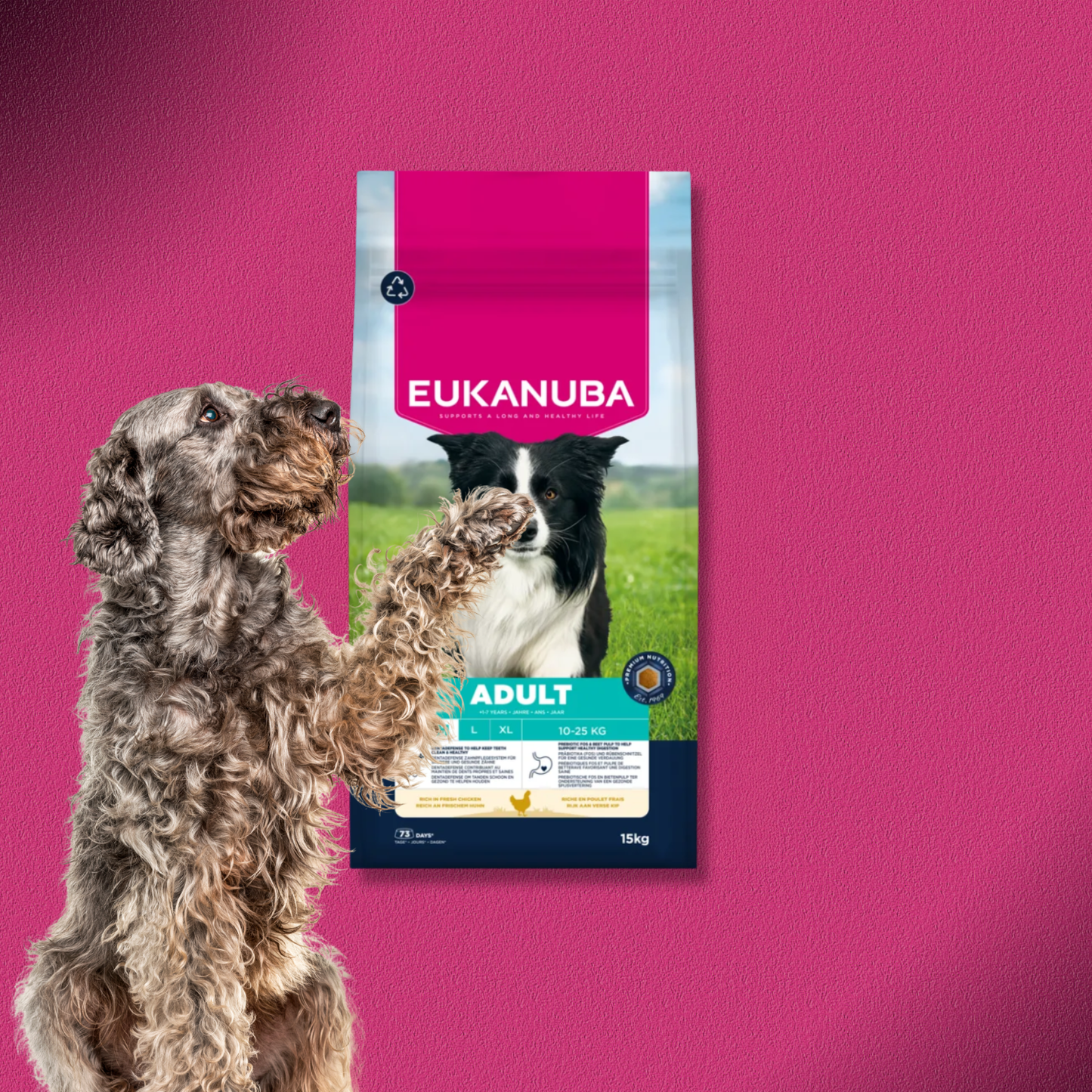 2x15kg Eukanuba Premium Nutrition Adult,  Medium Breed - Huhn