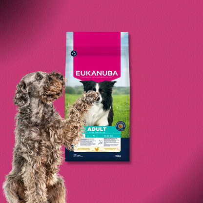 2x15kg Eukanuba Premium Nutrition Adult,  Medium Breed - Huhn
