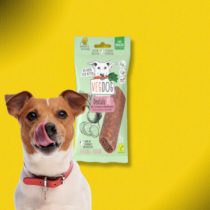 30x100g VegDog Dentals XL