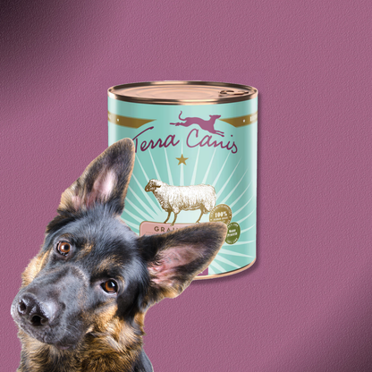 6x800g Terra Canis Grain-Free - Lamm mit Kürbis, Pastinake & Passionsblume