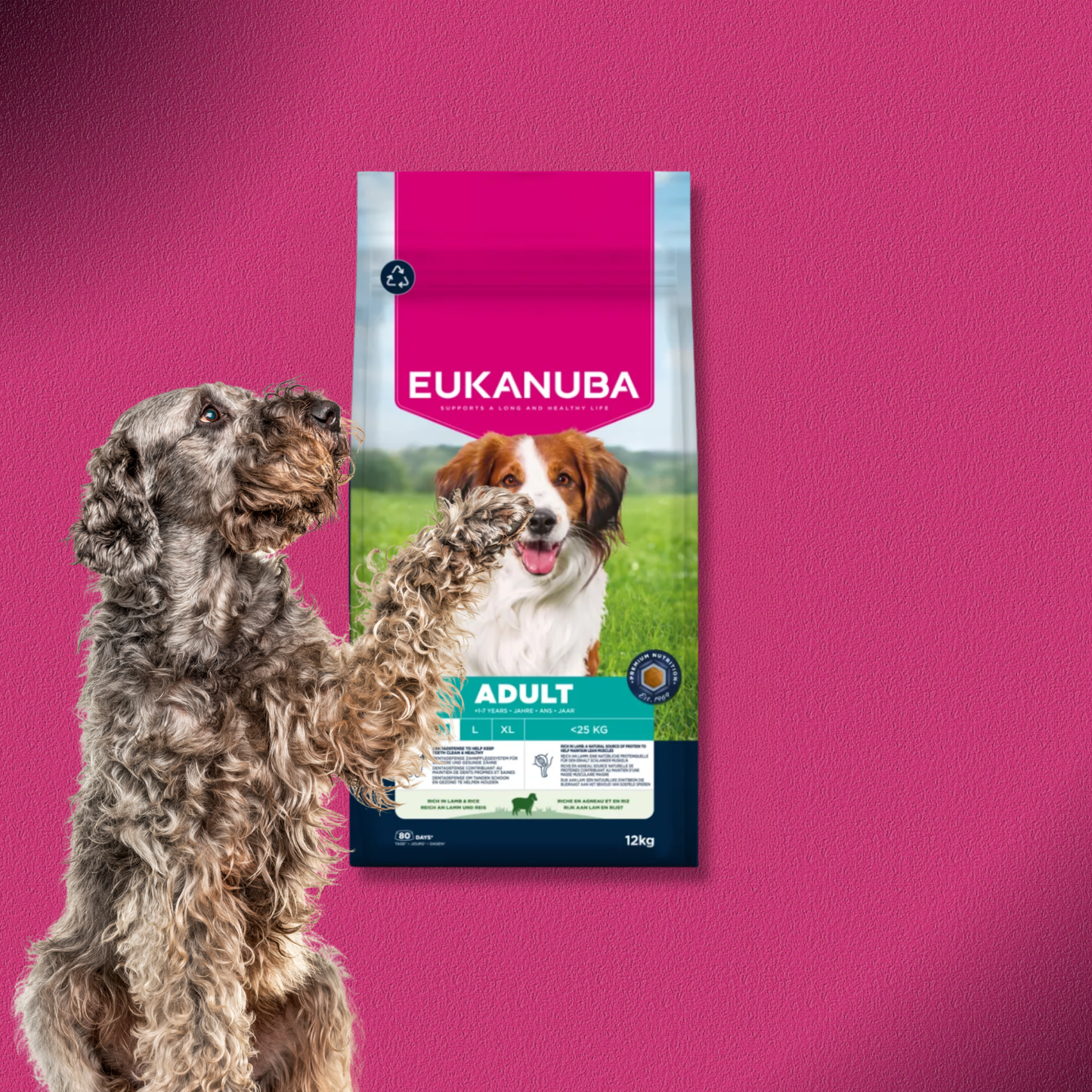 2x12kg Eukanuba Premium Nutrition Adult Small & Medium Breed Lamm & Reis