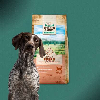 12kg Wildes Land Classic Adult - Pferd mit Kartoffeln und Wildkräutern