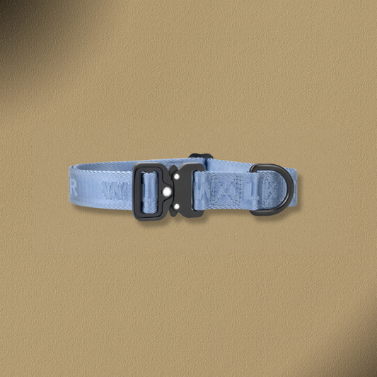 William Walker Jacquard Nylon Hundehalsband