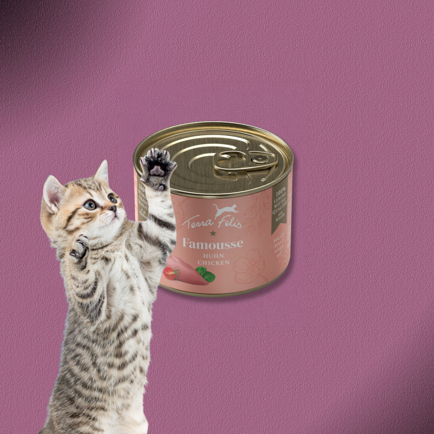 36x200g Terra Felis Famousse Huhn