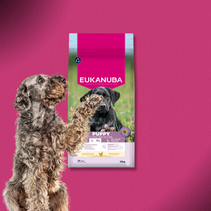 2x15kg Eukanuba Premium Nutrition Puppy Large & Giant Breed mit Huhn