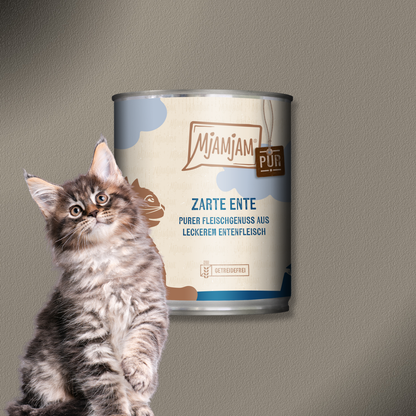24x800g MjAMjAM purer Fleischgenuss - Zarte Ente pur
